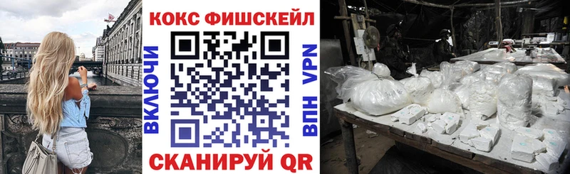 мега как зайти  магазин продажи   Новая Ладога  Cocaine Эквадор 
