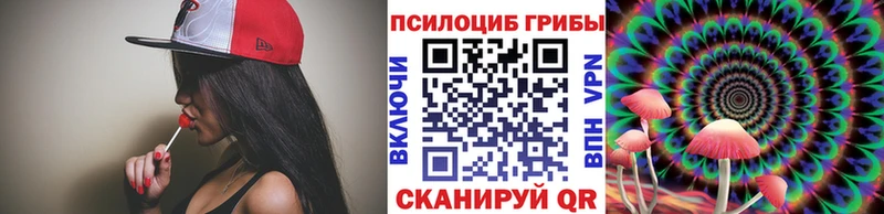 Галлюциногенные грибы прущие грибы Новая Ладога