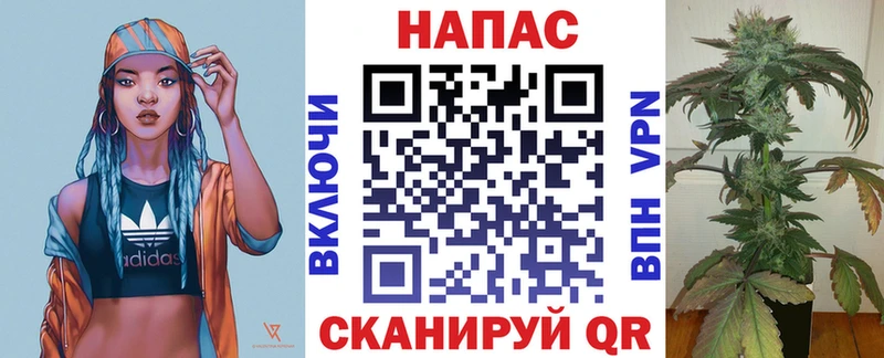 Марихуана VHQ  как найти закладки  Новая Ладога 